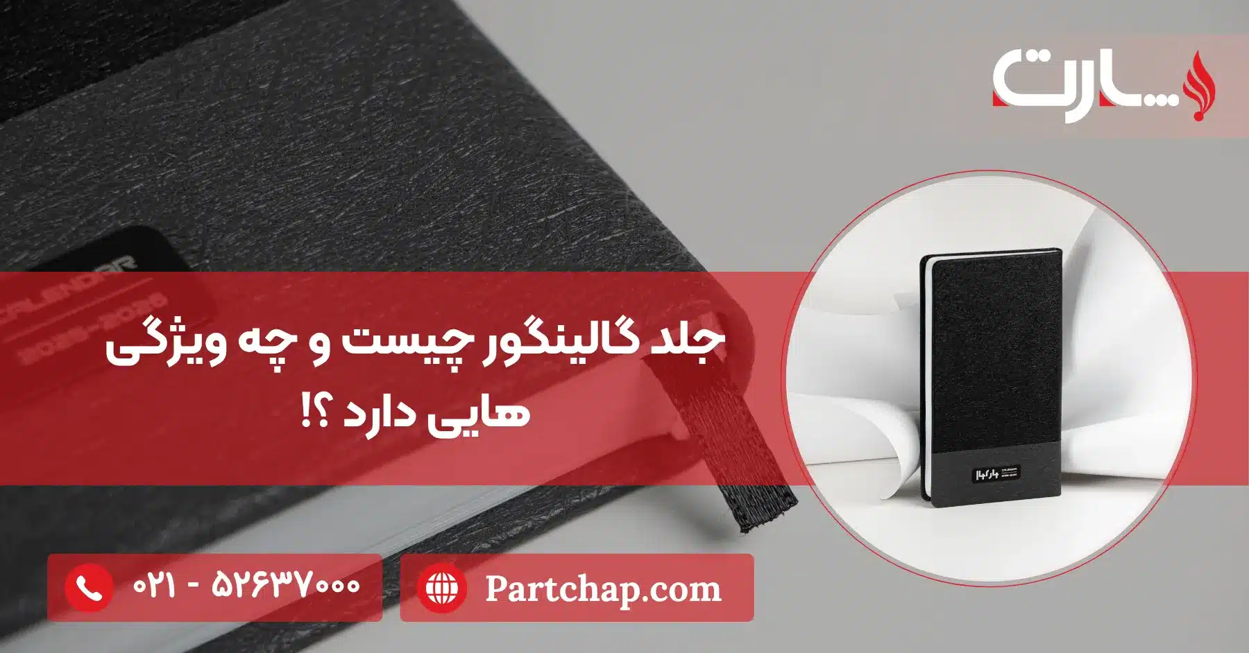 جلد گالینگور چیست و چه ویژگی هایی دارد