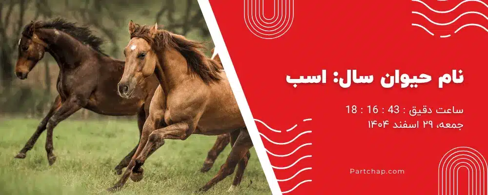 نام حیوان سال اسب