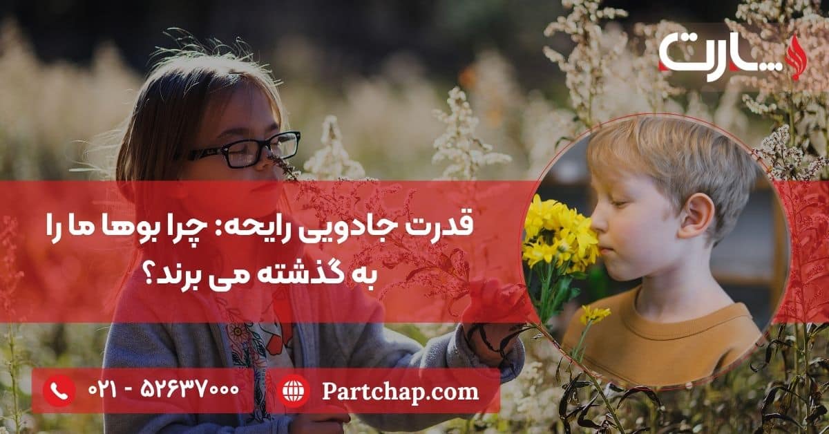 قدرت جادویی رایحه: چرا بوها ما را به گذشته می برند؟