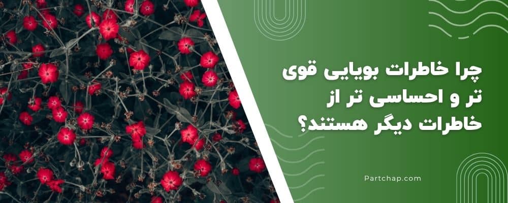 چرا خاطرات بویایی قوی تر و احساسی تر از خاطرات دیگر هستند؟