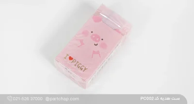 پاک‌کن طرح خوک ست PC002